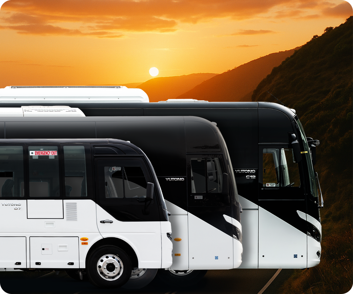 Three Yutong buses next to an Australian coastal road at sunset