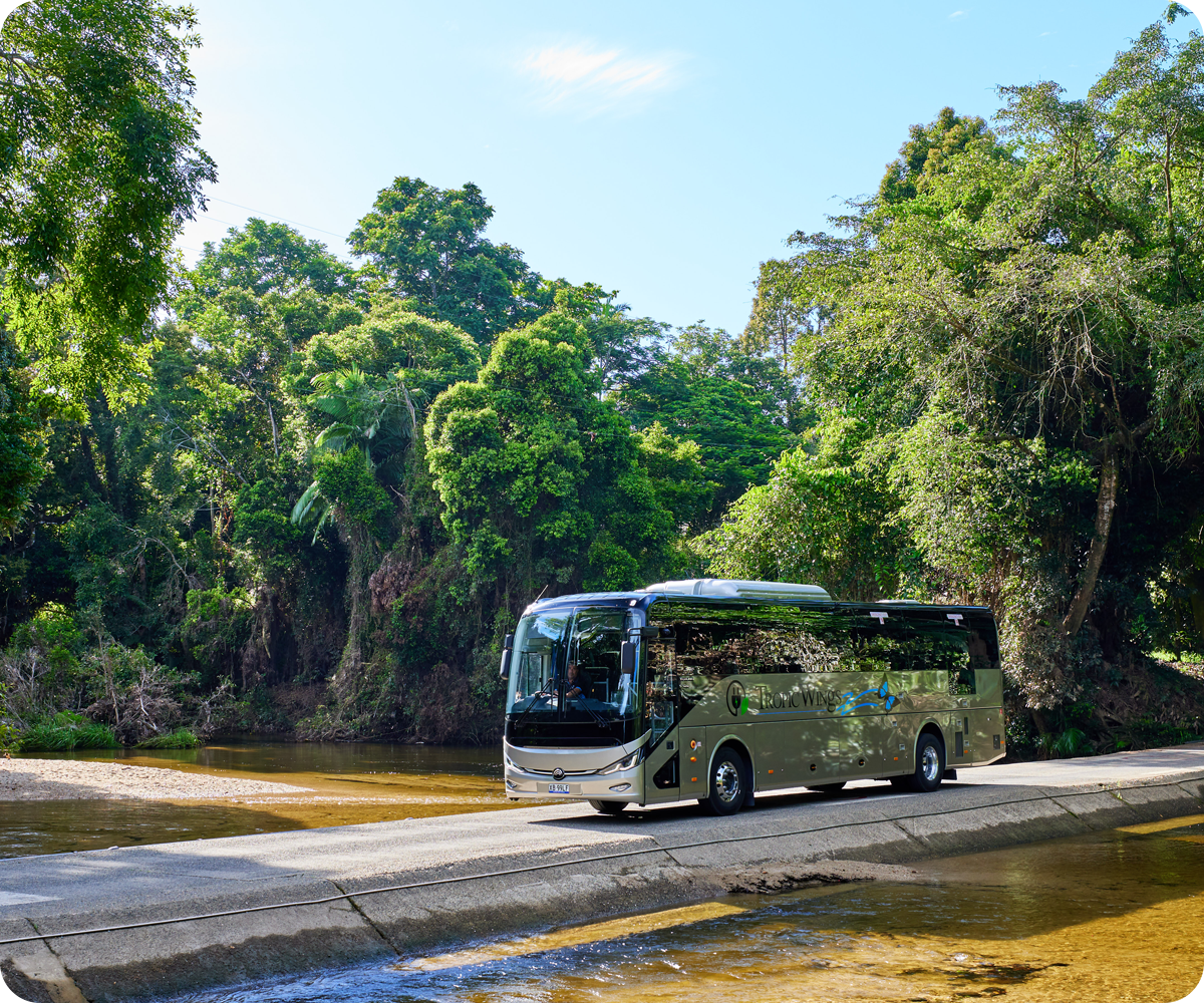 An electric Yutong bus drives over a scenic rainforest river crossing
